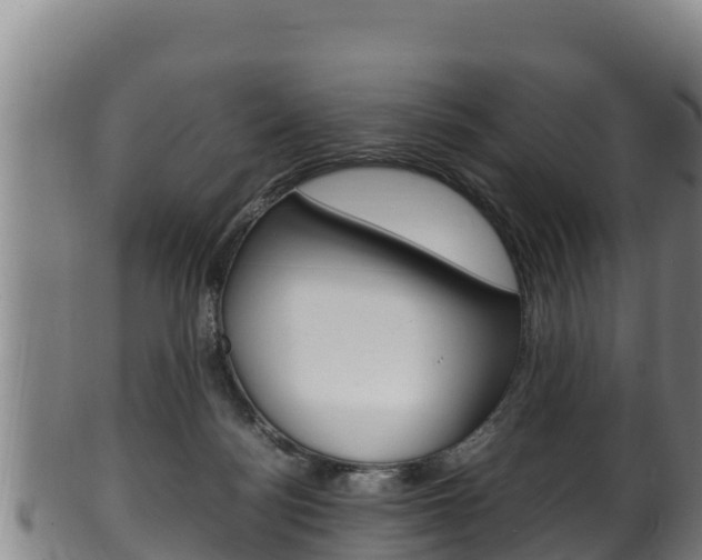X0000100380172200806060835