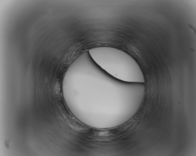 X0000100380173200806060835