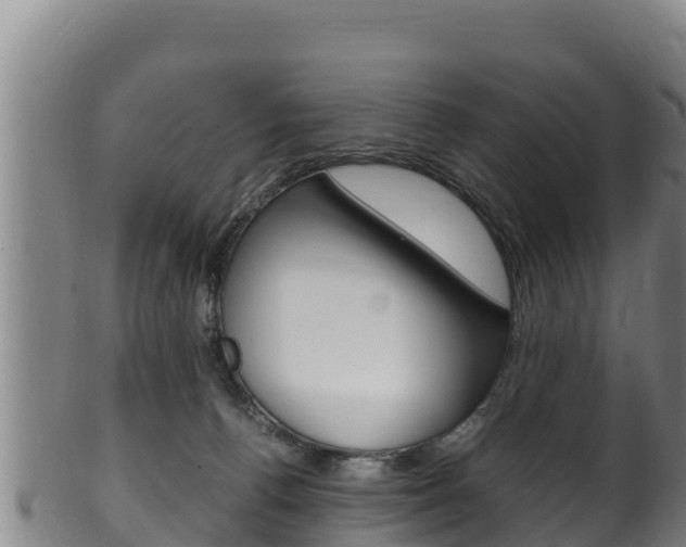 X0000100380176200806060835