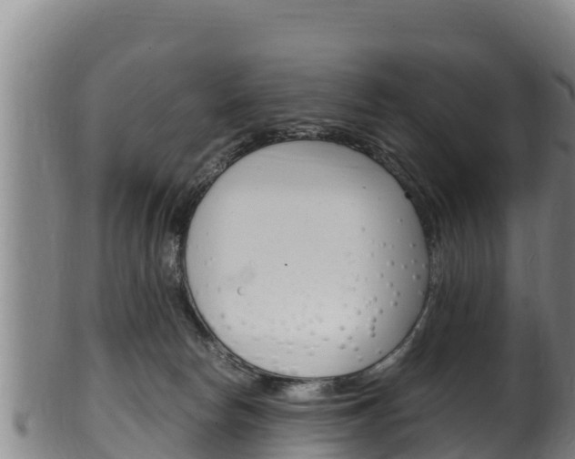 X0000100380178200806060835