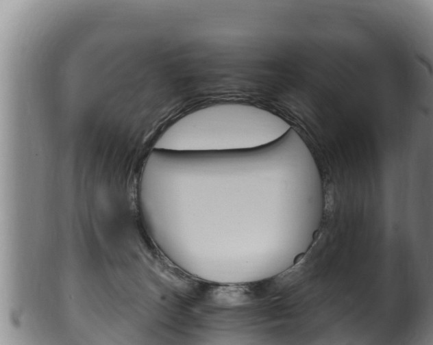 X0000100380179200806060835