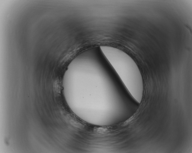 X0000100380180200806060835