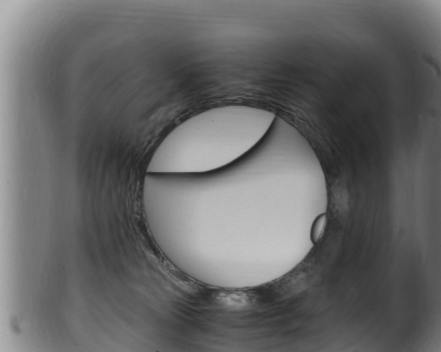 X0000100380181200806060835