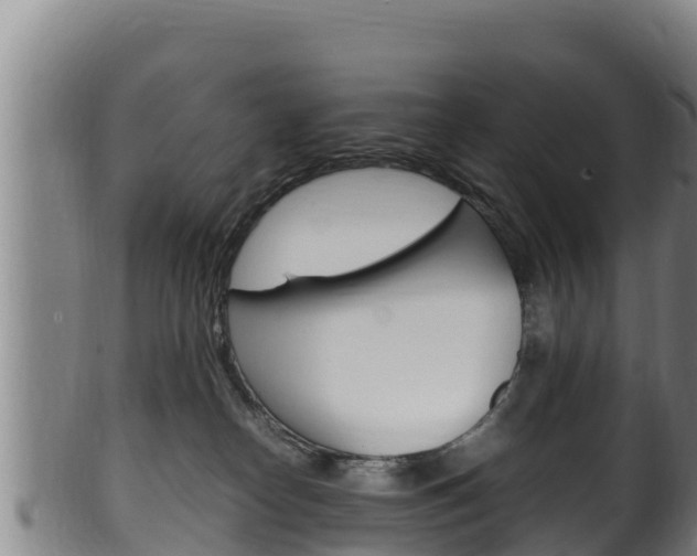 X0000100380182200806060835