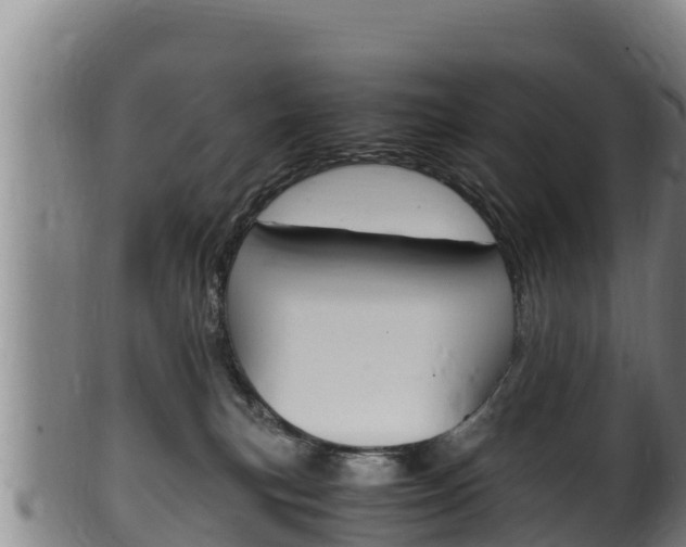 X0000100380183200806060835