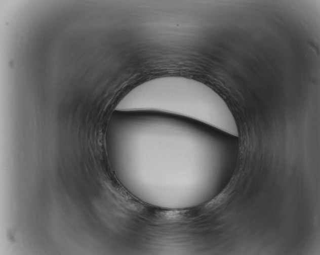 X0000100380184200806060835