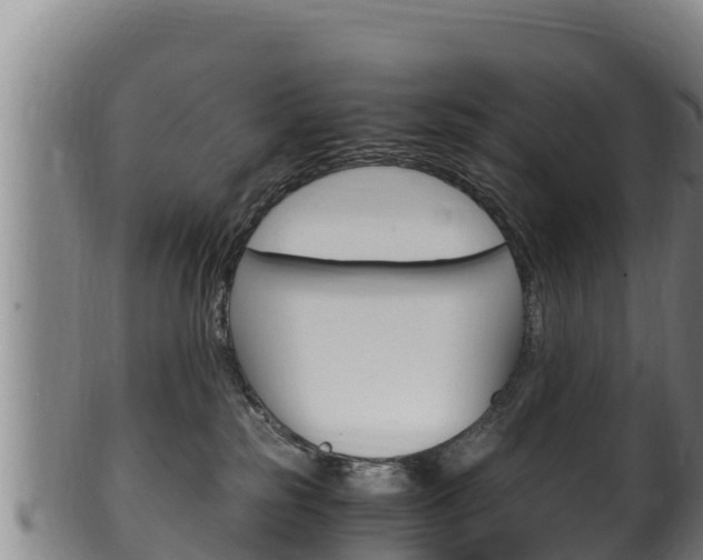 X0000100380185200806060835