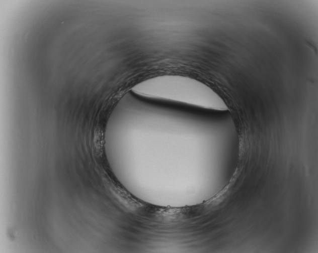 X0000100380186200806060835