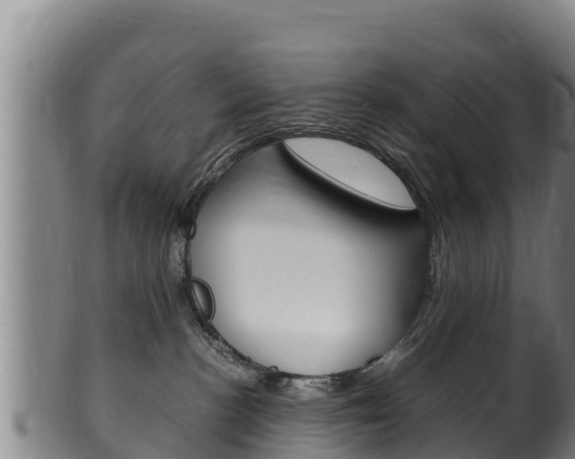X0000100380188200806060835