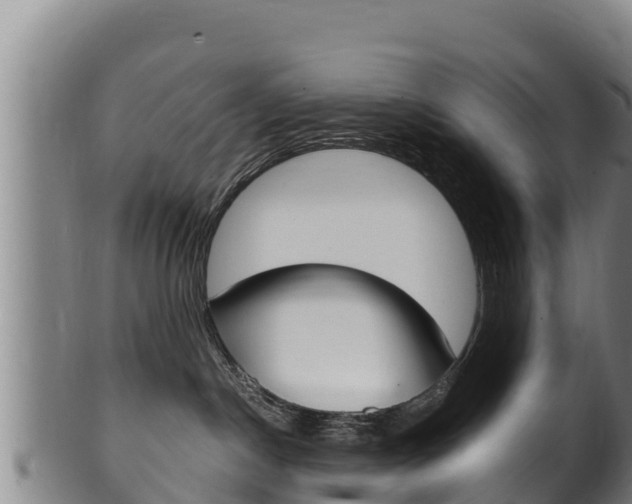 X0000100380190200806060835