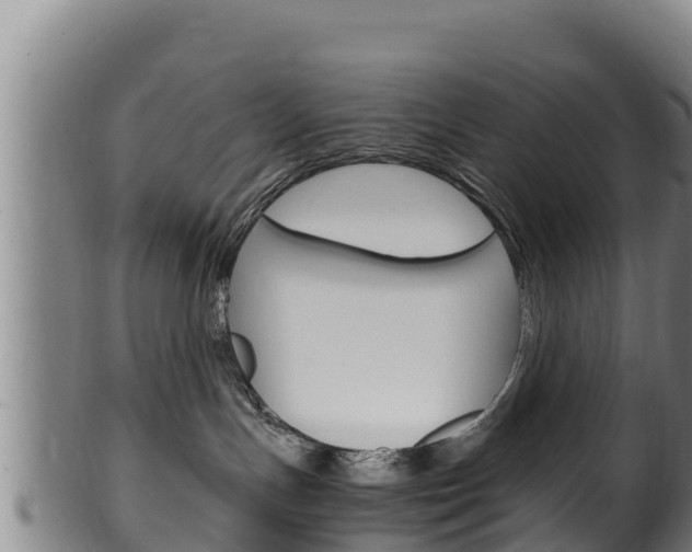 X0000100380191200806060835