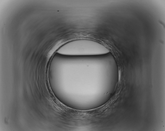 X0000100380195200806060834