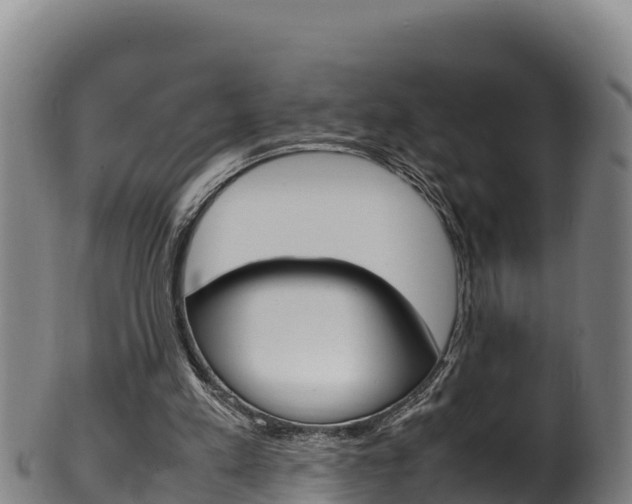 X0000100380197200806060834
