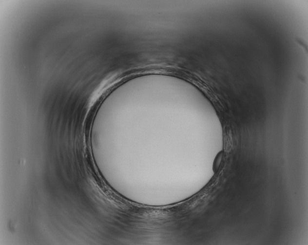 X0000100380198200806060834
