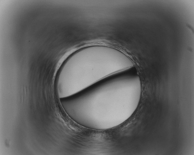 X0000100380200200806060834