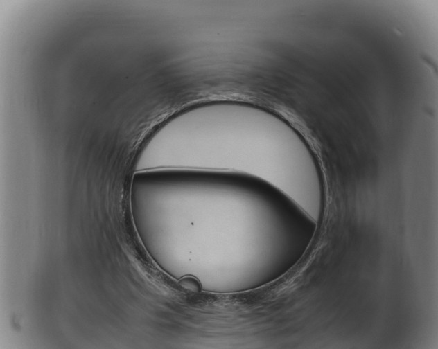 X0000100380201200806060834