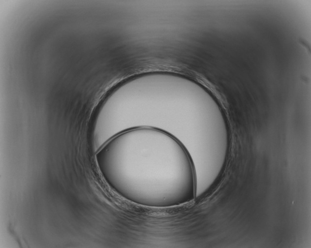 X0000100380203200806060834