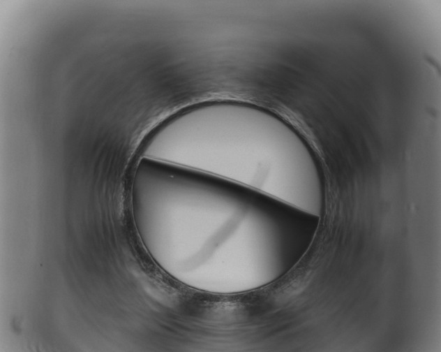X0000100380204200806060834