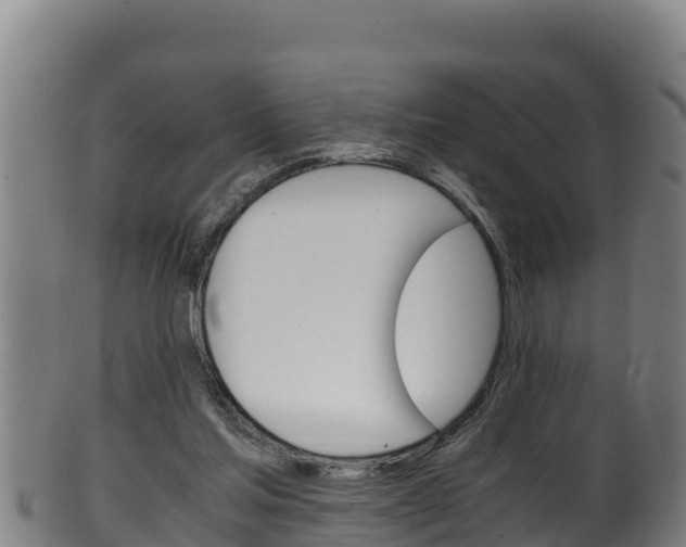X0000100380205200806060834