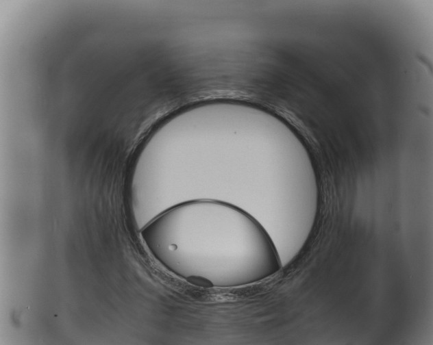 X0000100380207200806060834