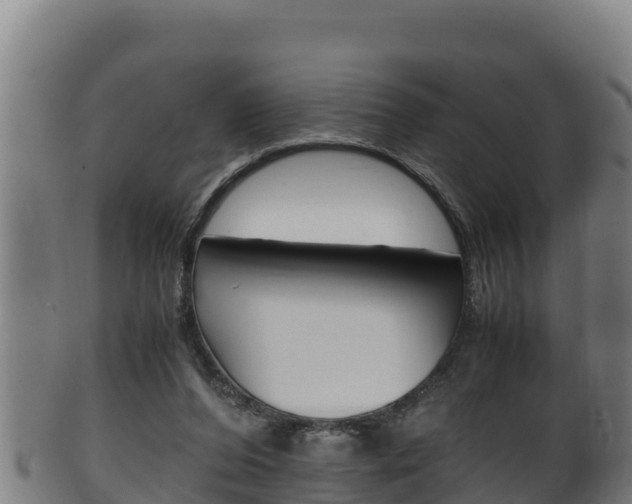X0000100380208200806060834