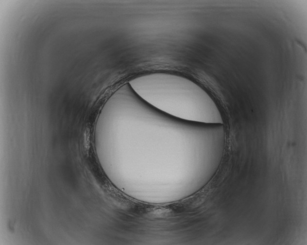 X0000100380210200806060834