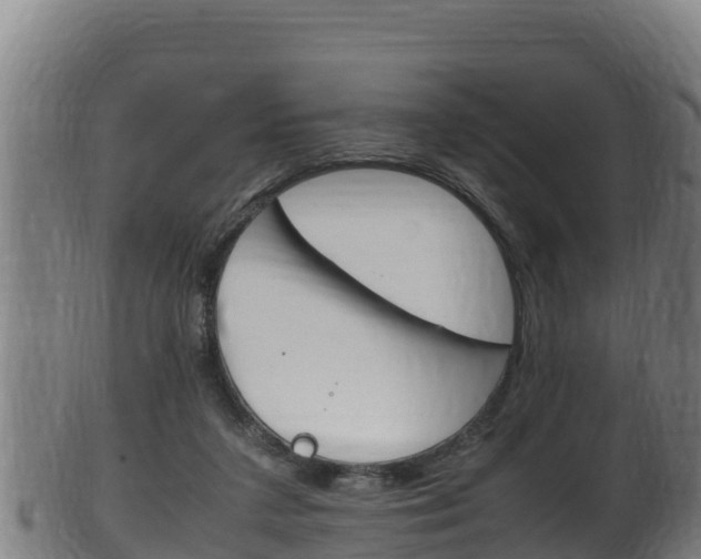 X0000100380211200806060834