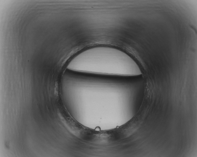 X0000100380212200806060834
