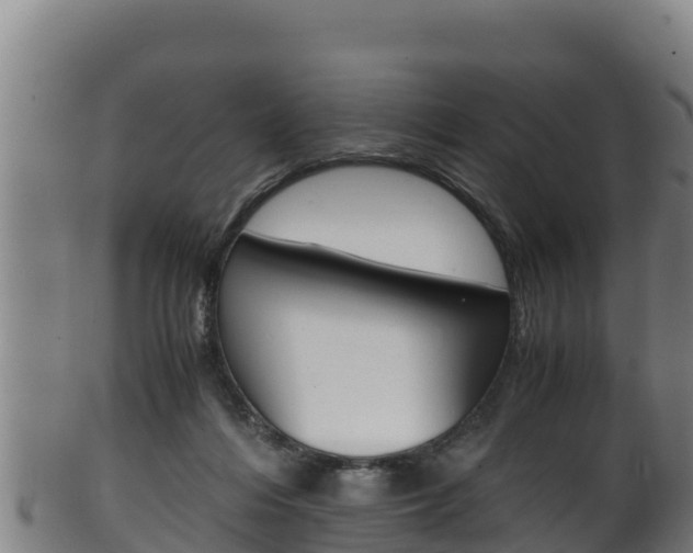 X0000100380216200806060834