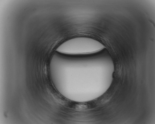 X0000100380220200806060834