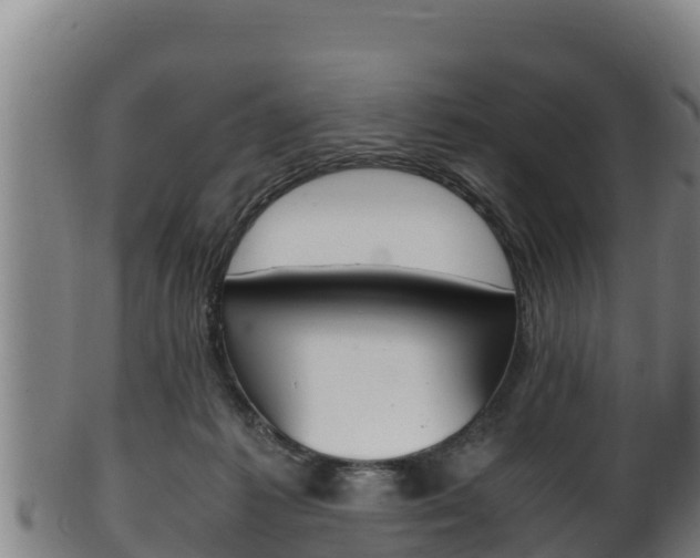 X0000100380221200806060834