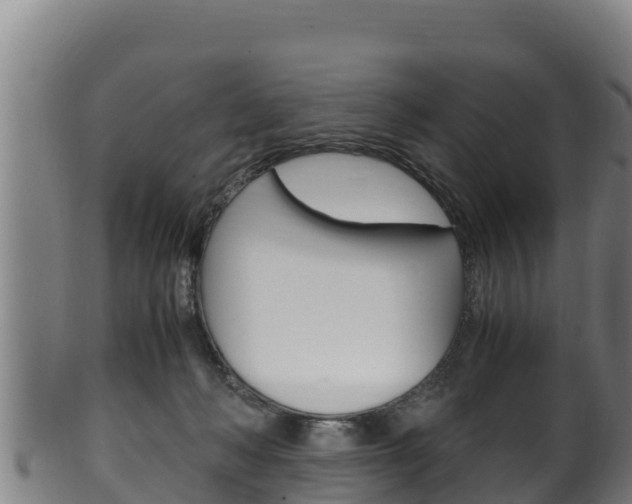 X0000100380222200806060834