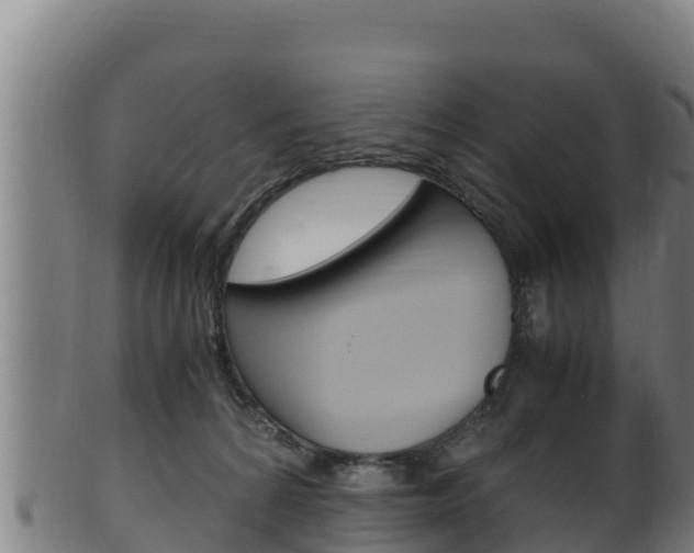 X0000100380224200806060834