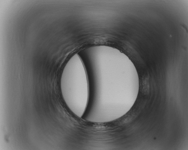 X0000100380228200806060834