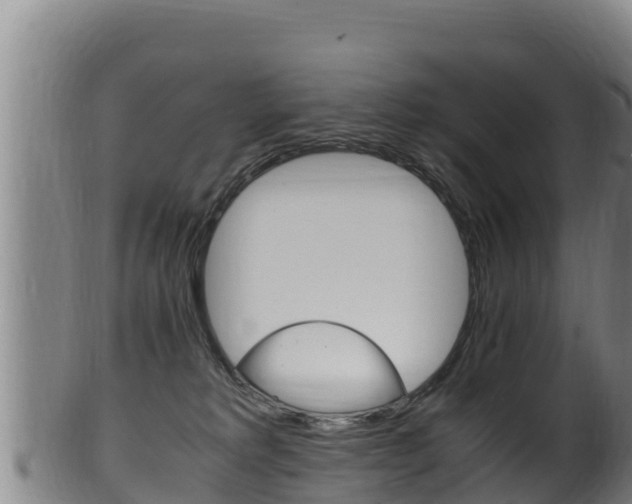 X0000100380229200806060834