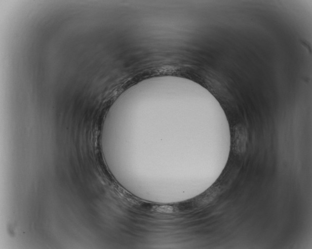 X0000100380230200806060834
