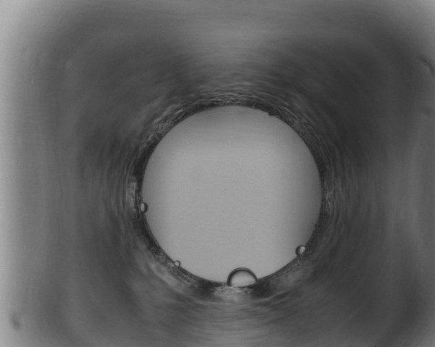 X0000100380231200806060834