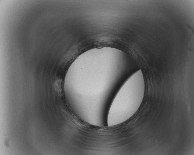 X0000100380232200806060834