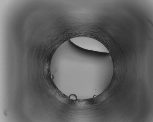 X0000100380235200806060834