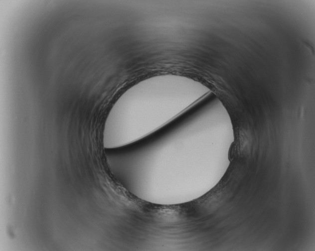 X0000100380236200806060834