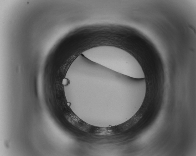 X0000100380239200806060834