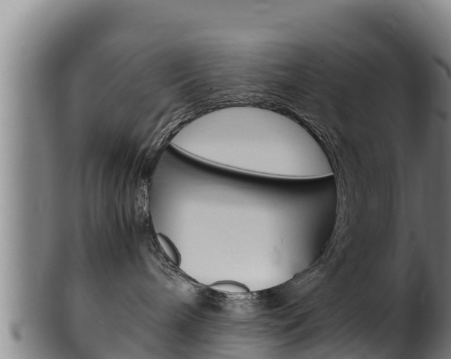 X0000100380240200806060834