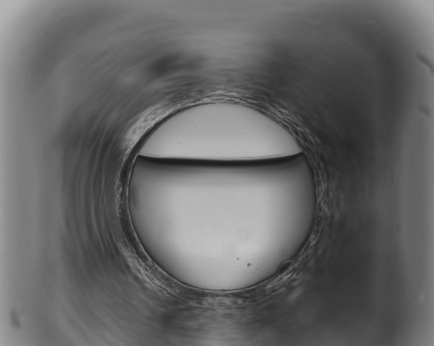 X0000100380242200806060833