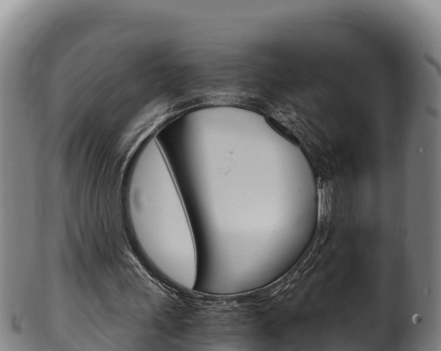 X0000100380243200806060833