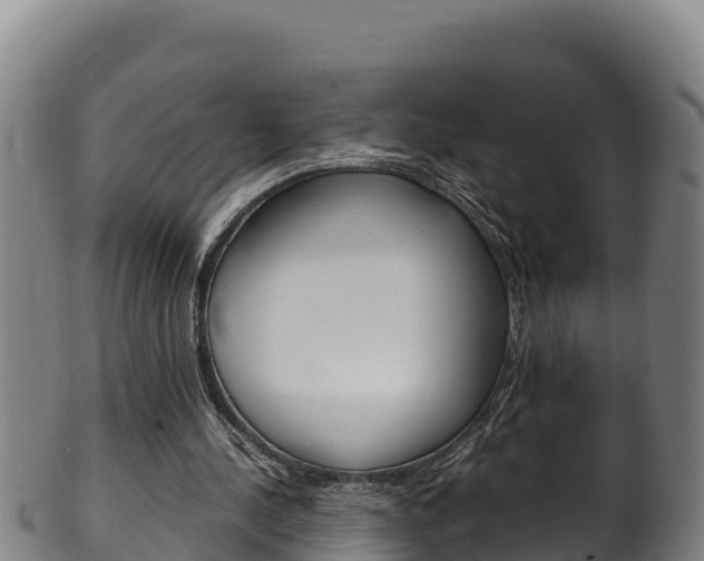 X0000100380244200806060833