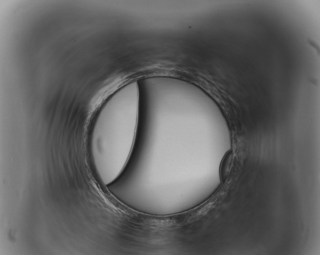 X0000100380245200806060833