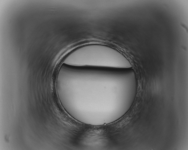 X0000100380247200806060833