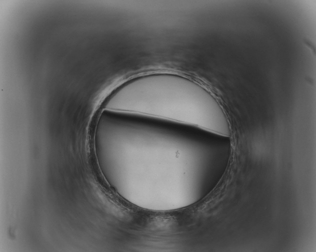 X0000100380248200806060833