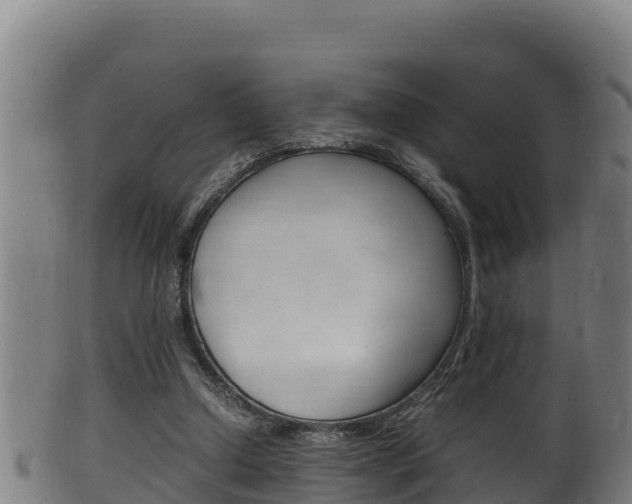 X0000100380250200806060833