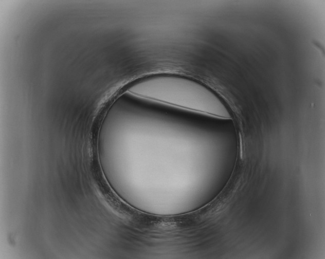 X0000100380252200806060833